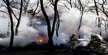 Ȱ���̹���